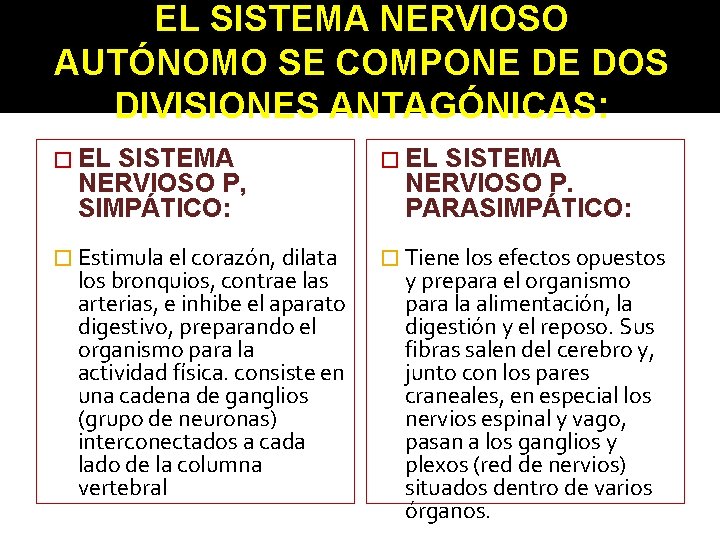 EL SISTEMA NERVIOSO AUTÓNOMO SE COMPONE DE DOS DIVISIONES ANTAGÓNICAS: � EL SISTEMA NERVIOSO