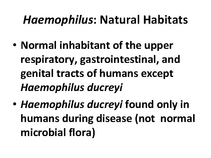 Haemophilus: Natural Habitats • Normal inhabitant of the upper respiratory, gastrointestinal, and genital tracts