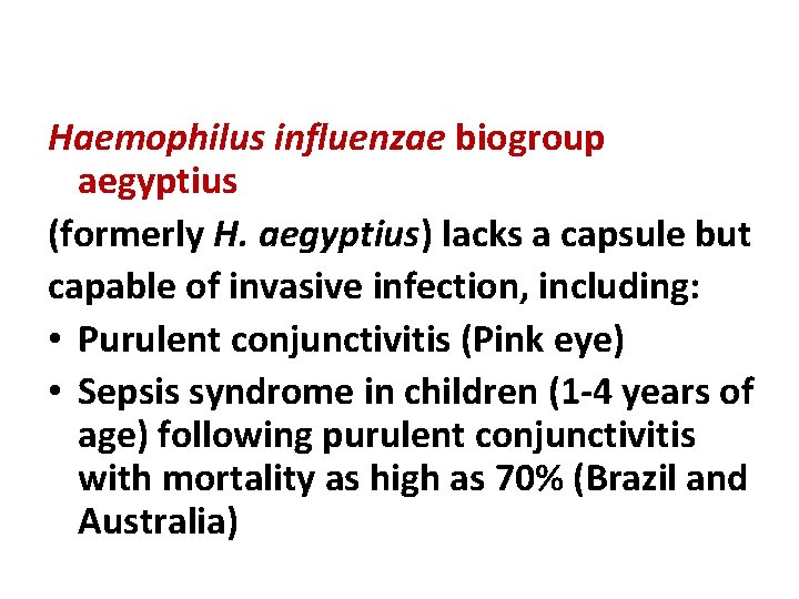 Haemophilus influenzae biogroup aegyptius (formerly H. aegyptius) lacks a capsule but capable of invasive