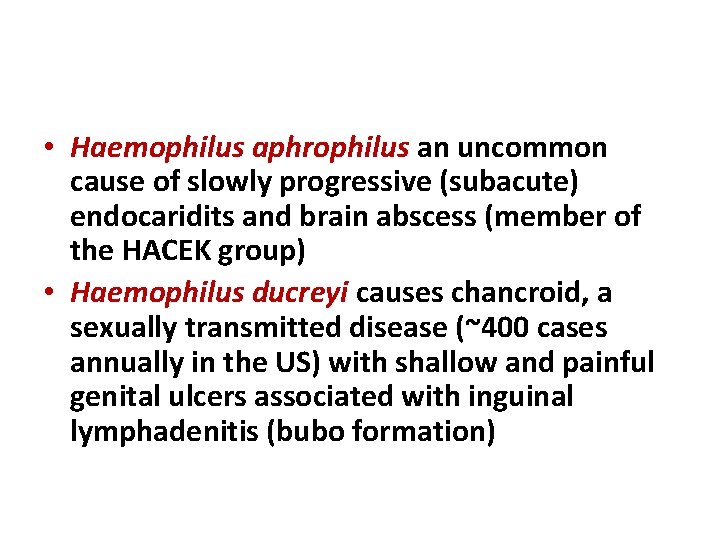  • Haemophilus aphrophilus an uncommon cause of slowly progressive (subacute) endocaridits and brain