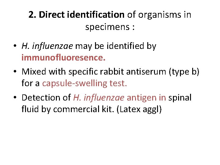 2. Direct identification of organisms in specimens : • H. influenzae may be identified