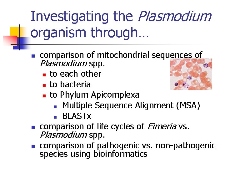 Investigating the Plasmodium organism through… n n n comparison of mitochondrial sequences of Plasmodium
