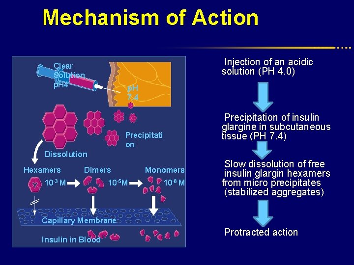 Mechanism of Action Injection of an acidic solution (PH 4. 0) Clear Solution p.