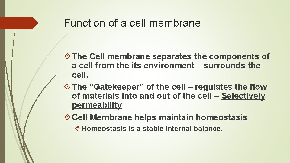 Function of a cell membrane The Cell membrane separates the components of a cell