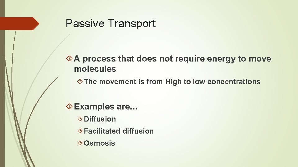 Passive Transport A process that does not require energy to move molecules The movement
