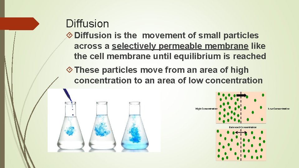 Diffusion is the movement of small particles across a selectively permeable membrane like the