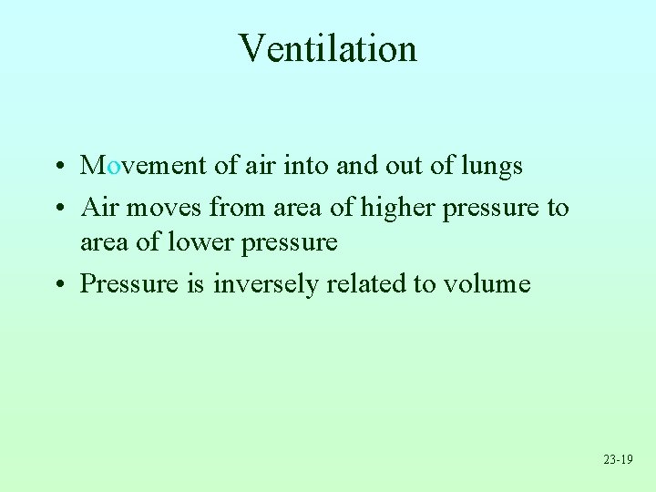 Ventilation • Movement of air into and out of lungs • Air moves from