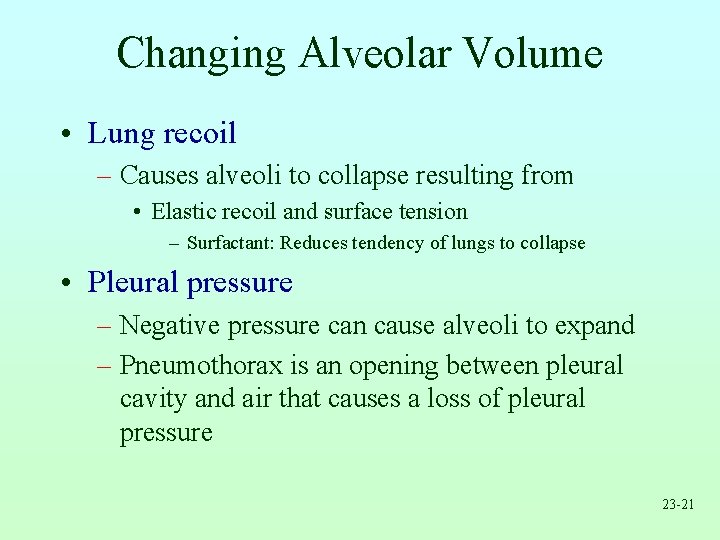 Changing Alveolar Volume • Lung recoil – Causes alveoli to collapse resulting from •