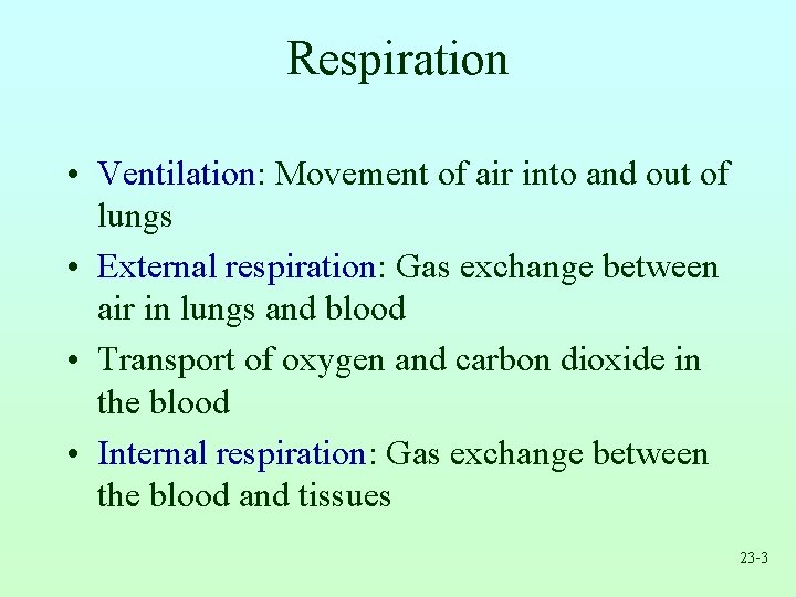 Respiration • Ventilation: Movement of air into and out of lungs • External respiration: