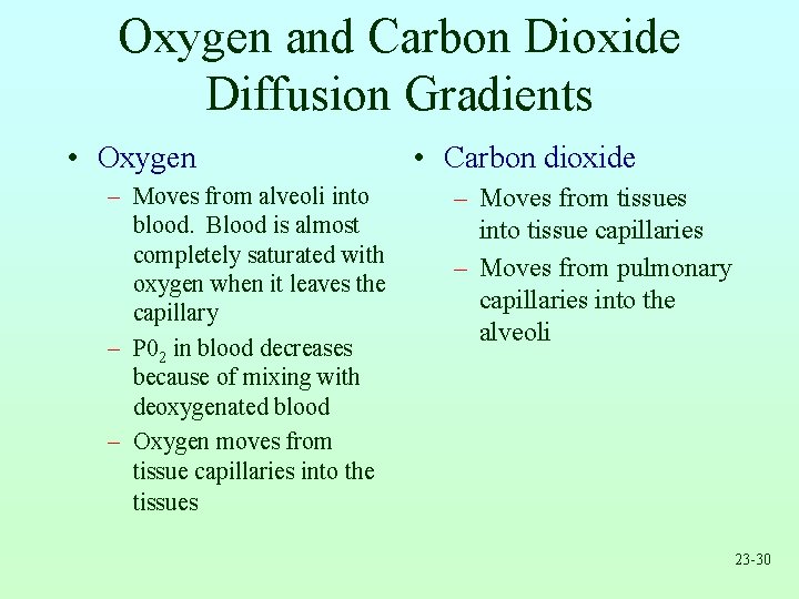 Oxygen and Carbon Dioxide Diffusion Gradients • Oxygen – Moves from alveoli into blood.