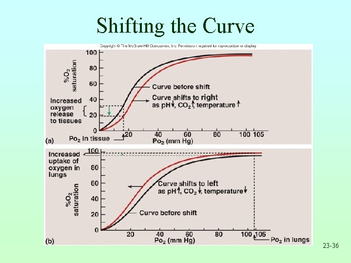 Shifting the Curve 23 -36 