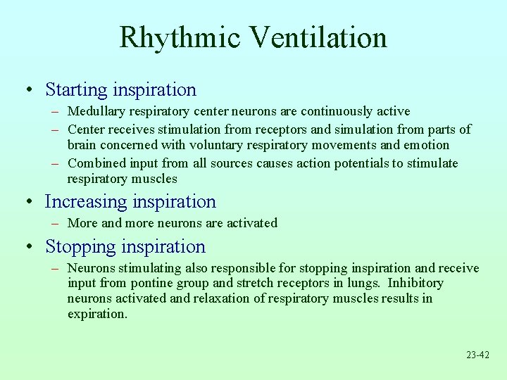 Rhythmic Ventilation • Starting inspiration – Medullary respiratory center neurons are continuously active –