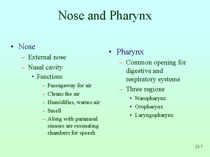 Nose and Pharynx • Nose – External nose – Nasal cavity • Functions –