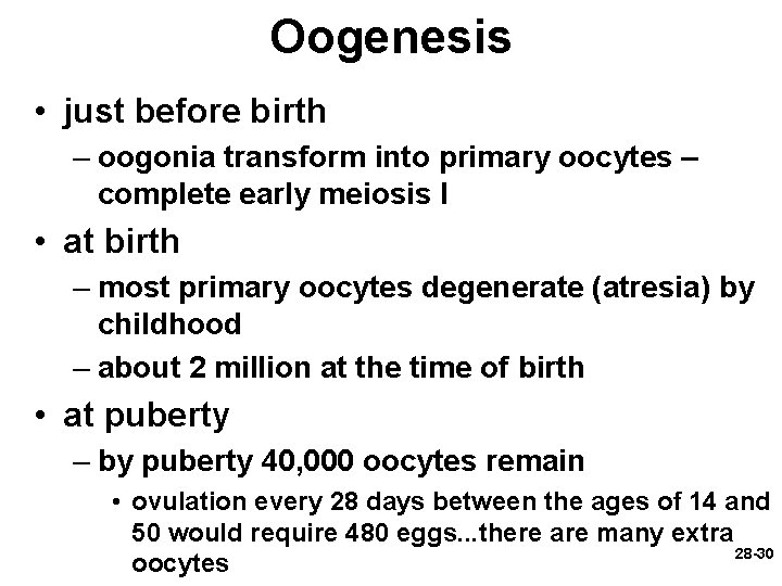 Oogenesis • just before birth – oogonia transform into primary oocytes – complete early Oogenesis • just before birth – oogonia transform into primary oocytes – complete early