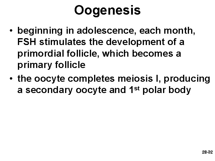 Oogenesis • beginning in adolescence, each month, FSH stimulates the development of a primordial Oogenesis • beginning in adolescence, each month, FSH stimulates the development of a primordial