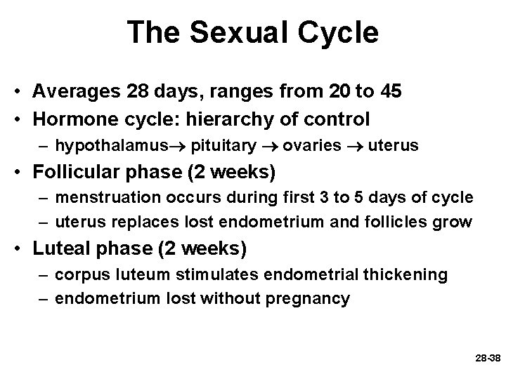 The Sexual Cycle • Averages 28 days, ranges from 20 to 45 • Hormone The Sexual Cycle • Averages 28 days, ranges from 20 to 45 • Hormone