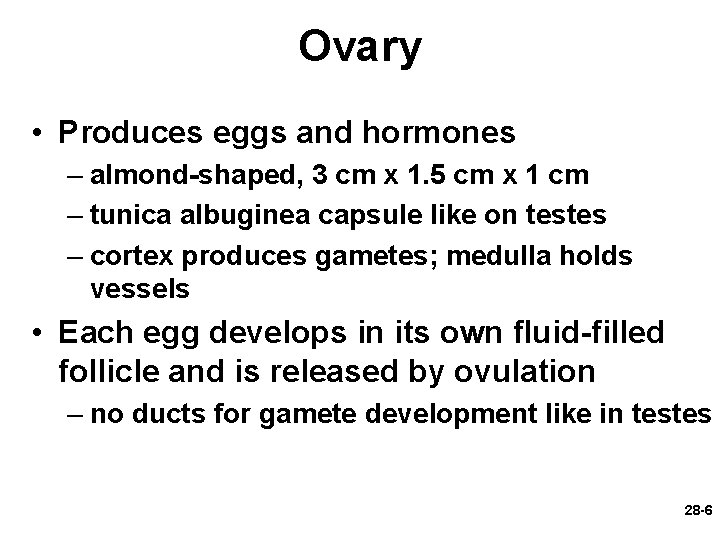 Ovary • Produces eggs and hormones – almond-shaped, 3 cm x 1. 5 cm Ovary • Produces eggs and hormones – almond-shaped, 3 cm x 1. 5 cm