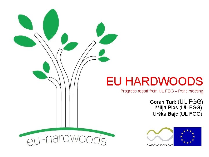 EU HARDWOODS Progress report from UL FGG – Paris meeting Goran Turk (UL FGG)