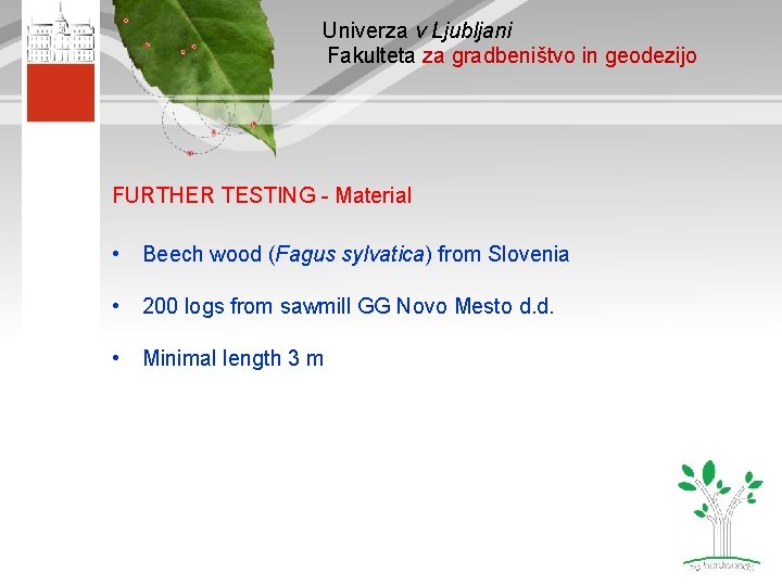 Univerza v Ljubljani Fakulteta za gradbeništvo in geodezijo FURTHER TESTING - Material • Beech