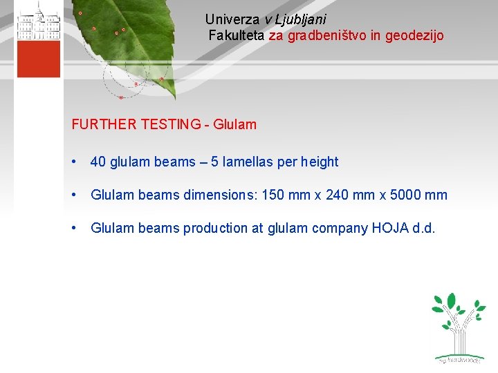 Univerza v Ljubljani Fakulteta za gradbeništvo in geodezijo FURTHER TESTING - Glulam • 40