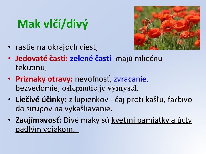 Mak vlčí/divý • rastie na okrajoch ciest, • Jedovaté časti: zelené časti majú mliečnu