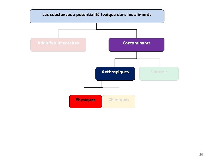 Les substances à potentialité toxique dans les aliments Additifs alimentaires Contaminants Anthropiques Physiques Naturels