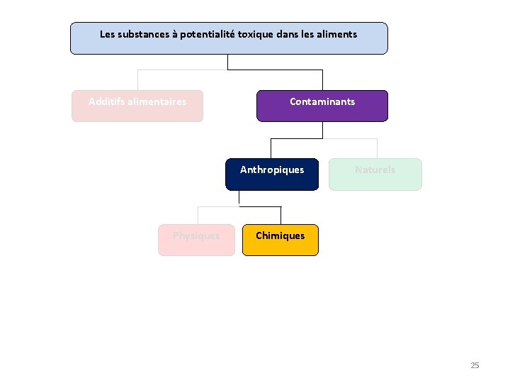 Les substances à potentialité toxique dans les aliments Additifs alimentaires Contaminants Anthropiques Physiques Naturels