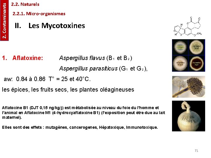 2. Contaminants 2. 2. Naturels 2. 2. 1. Micro-organismes II. Les Mycotoxines 1. Aflatoxine: