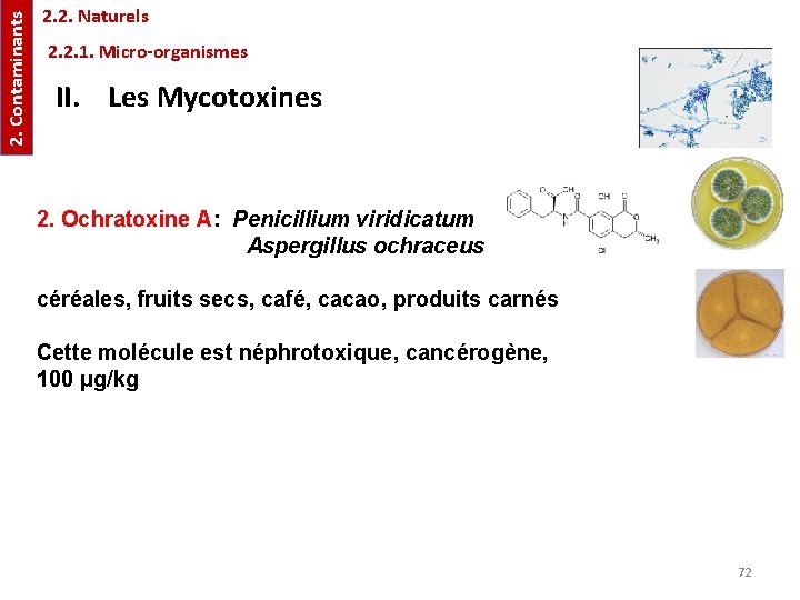 2. Contaminants 2. 2. Naturels 2. 2. 1. Micro-organismes II. Les Mycotoxines 2. Ochratoxine