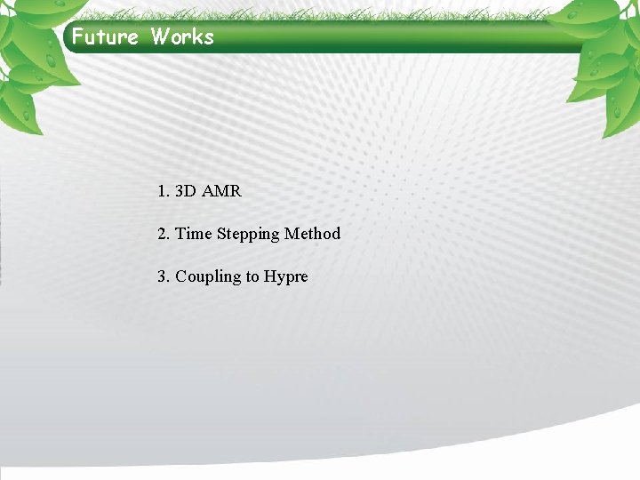Future Works 1. 3 D AMR 2. Time Stepping Method 3. Coupling to Hypre