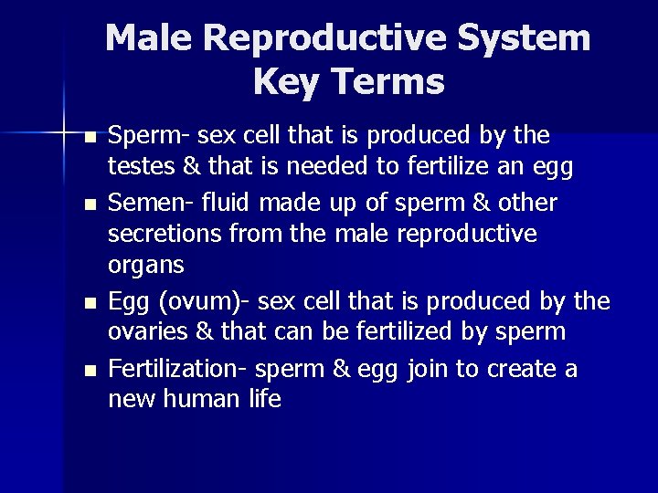 Male Reproductive System Key Terms n n Sperm- sex cell that is produced by
