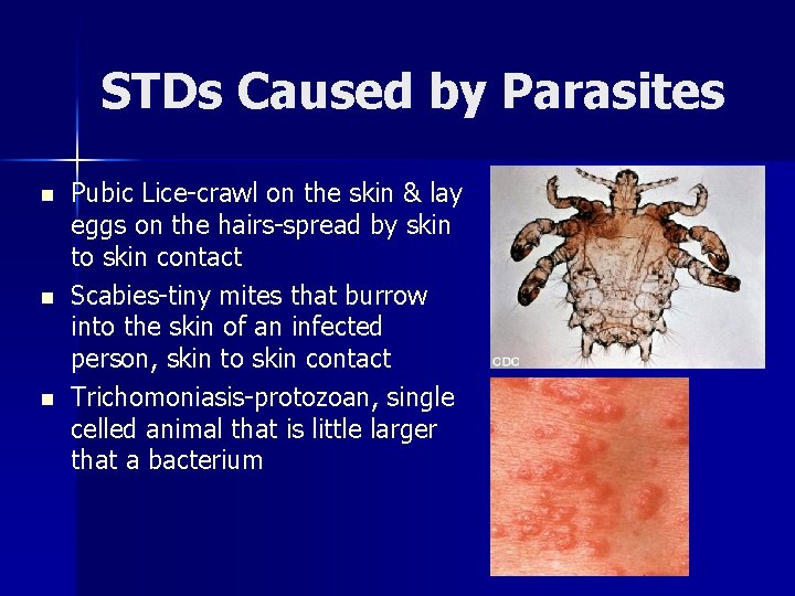 STDs Caused by Parasites n n n Pubic Lice-crawl on the skin & lay