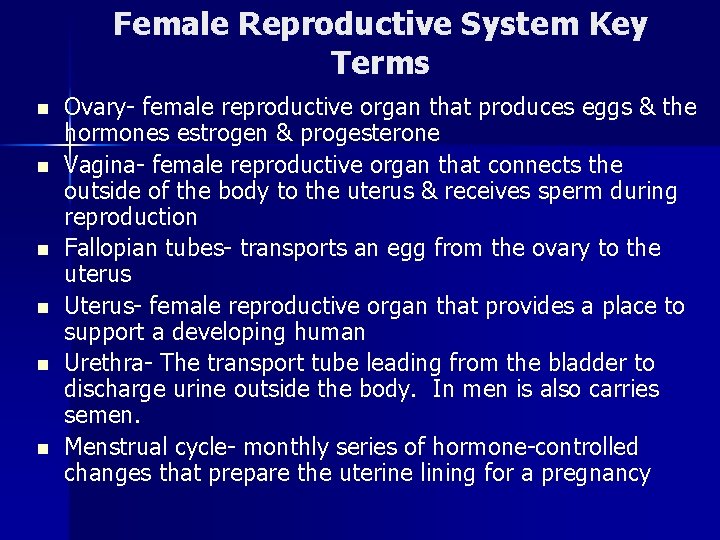 Female Reproductive System Key Terms n n n Ovary- female reproductive organ that produces