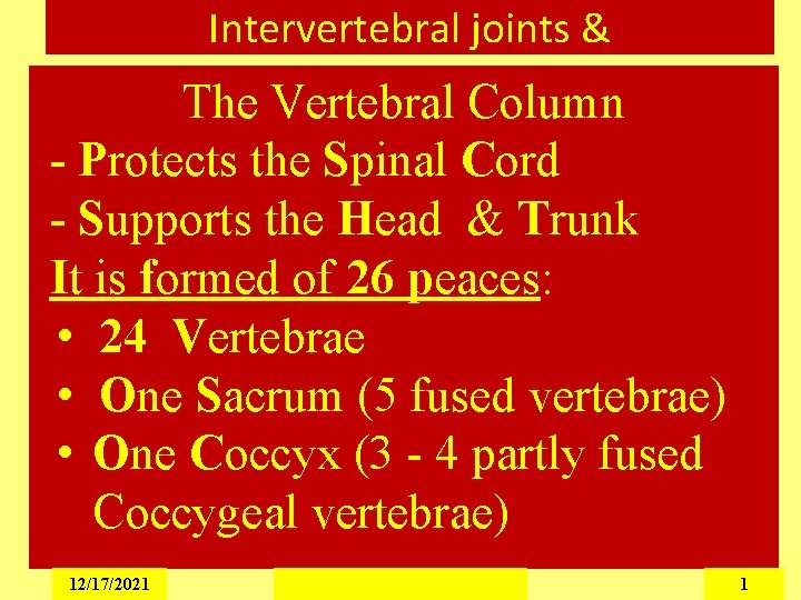 Intervertebral joints & The Vertebral Column - Protects the Spinal Cord - Supports the