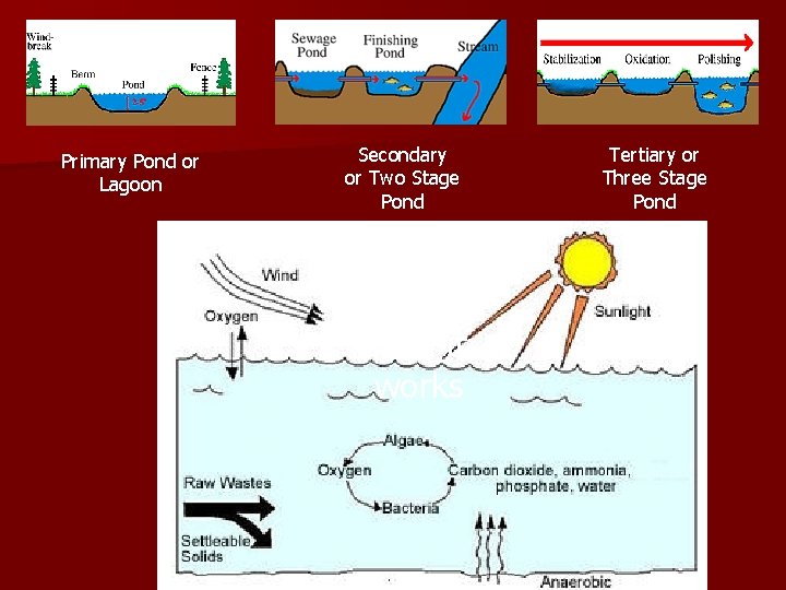 Ponds Primary Pond or Lagoon Secondary or Two Stage Pond This is how it