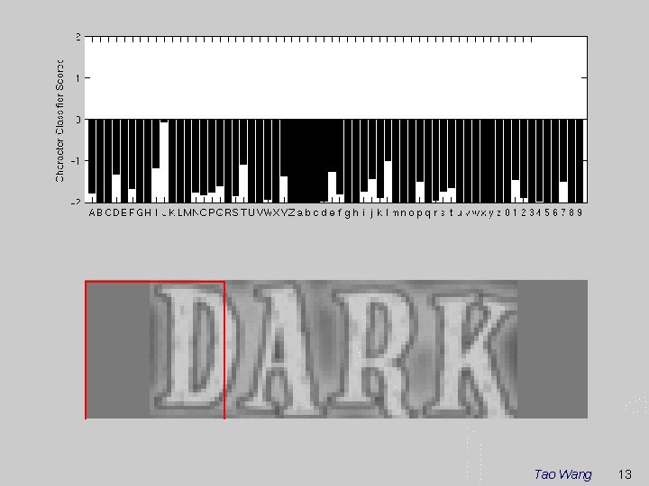 Tao Wang 13 Tao Wang 13