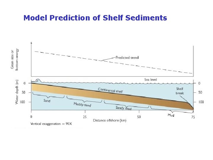 Model Prediction of Shelf Sediments 