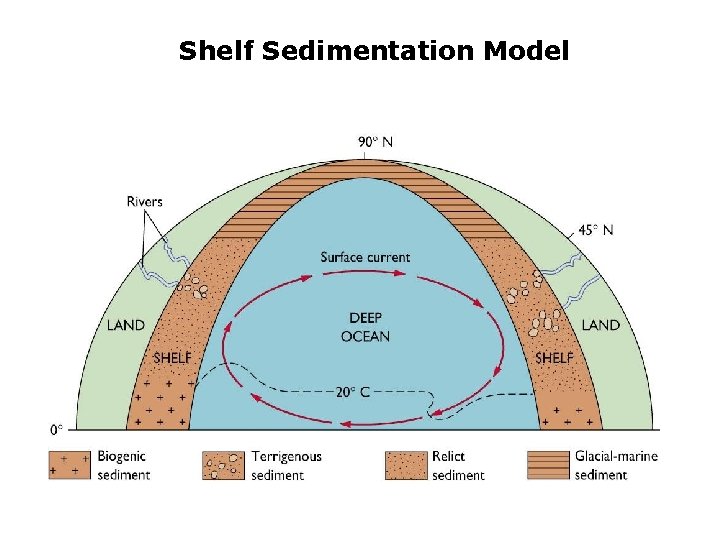 Shelf Sedimentation Model 