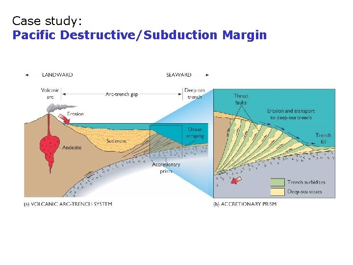 Case study: Pacific Destructive/Subduction Margin 