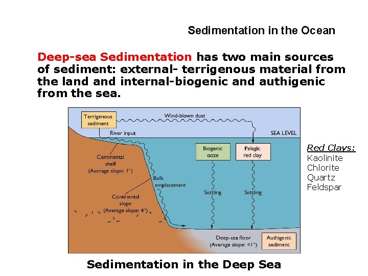 4 -2 Sedimentation in the Ocean Deep-sea Sedimentation has two main sources of sediment: