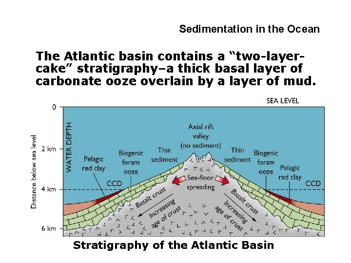 4 -2 Sedimentation in the Ocean The Atlantic basin contains a “two-layercake” stratigraphy–a thick
