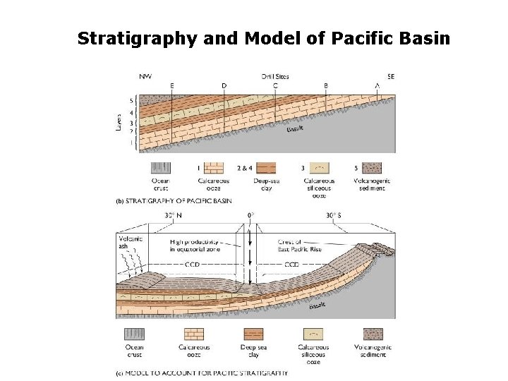Stratigraphy and Model of Pacific Basin 