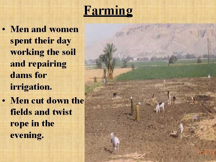 Farming • Men and women spent their day working the soil and repairing dams