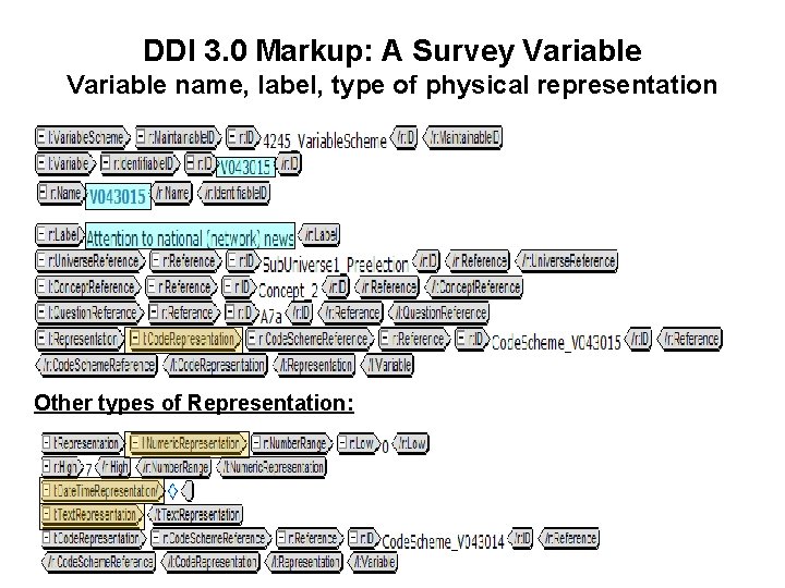 DDI 3. 0 Markup: A Survey Variable name, label, type of physical representation Other