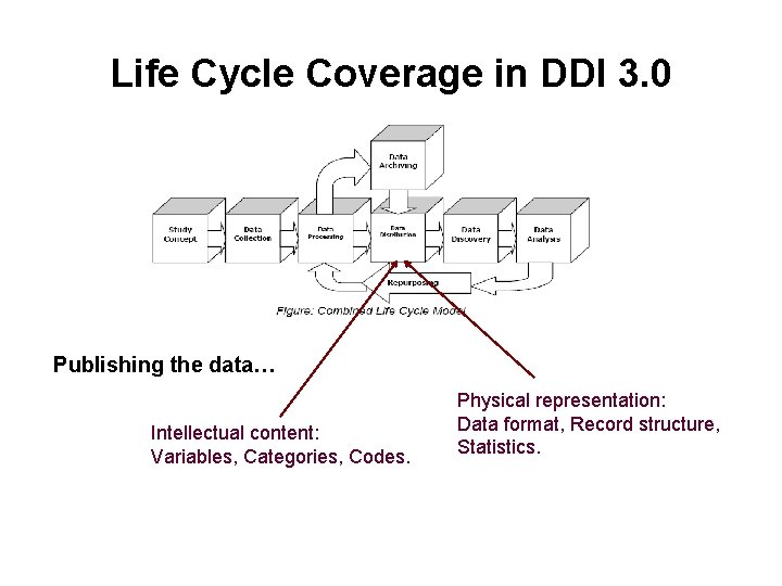 Life Cycle Coverage in DDI 3. 0 Publishing the data… Intellectual content: Variables, Categories,