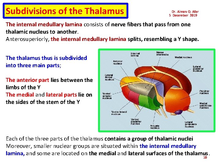 Subdivisions of the Thalamus Dr. Aiman Q. Afar 5 December 2019 The internal medullary