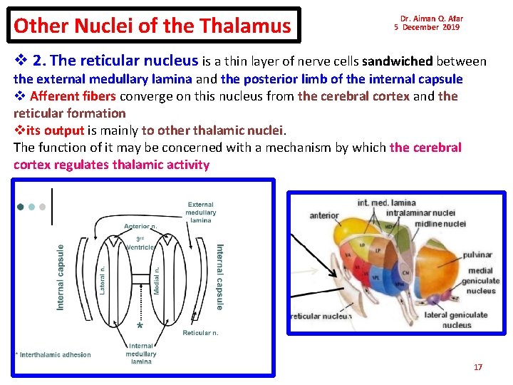Other Nuclei of the Thalamus Dr. Aiman Q. Afar 5 December 2019 v 2.
