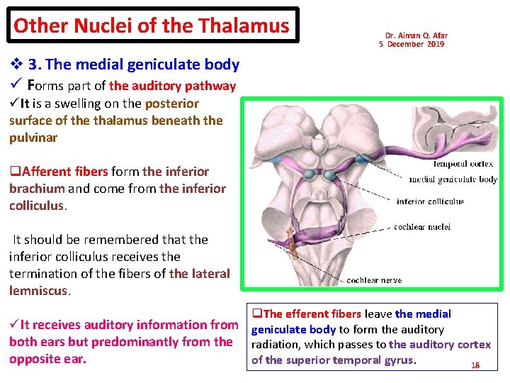 Other Nuclei of the Thalamus Dr. Aiman Q. Afar 5 December 2019 v 3.