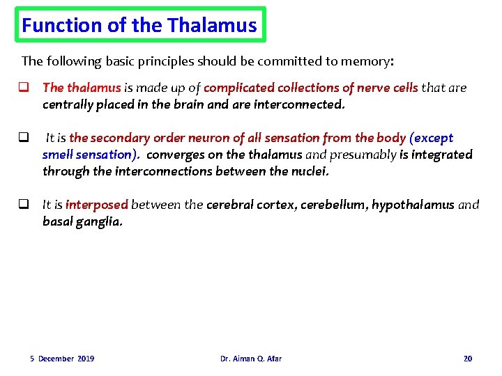 Function of the Thalamus The following basic principles should be committed to memory: q