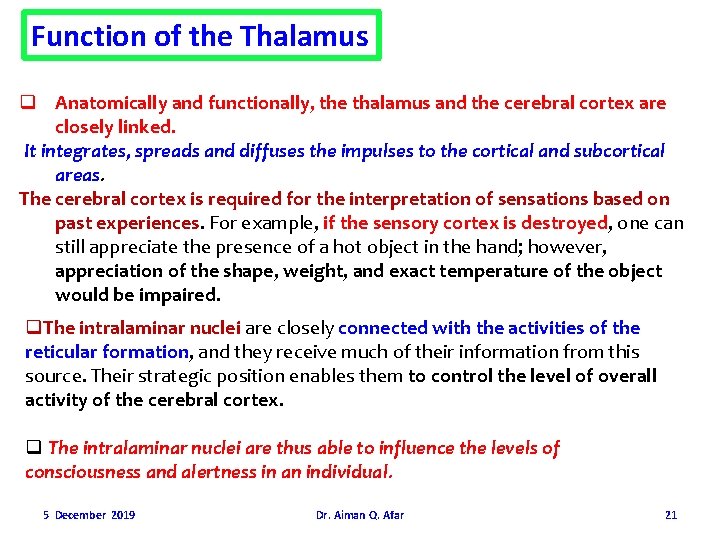 Function of the Thalamus q Anatomically and functionally, the thalamus and the cerebral cortex